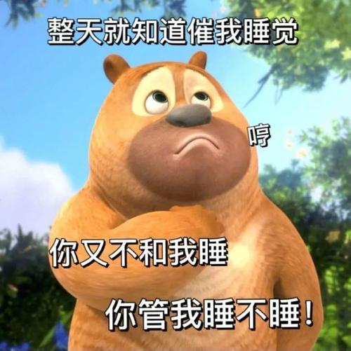 整天就知道催我睡觉 你又不和我睡 你管我睡不睡！