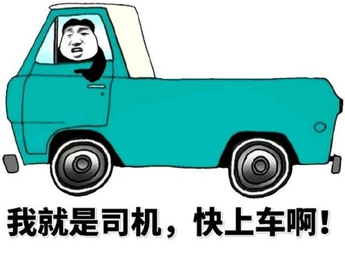 我就是司机，快上车啊！