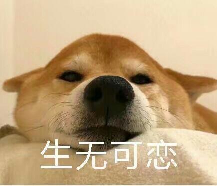 生无可恋