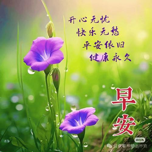 开心无忧 快乐无愁 平安依旧 健康永久 早安  公交零 2021 点