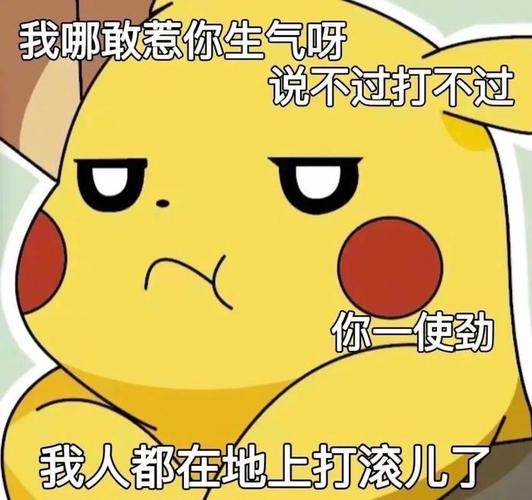 我哪敢惹你生气呀 说不过打不过 你一使劲 我人都在地上打滚儿了