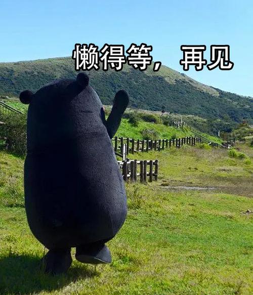 懒得等，再见