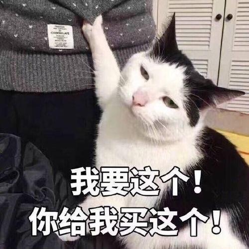 我要这个！ 你给我买这个！