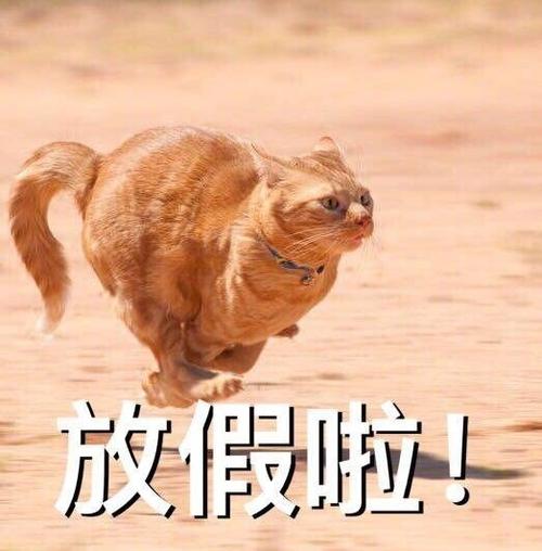放假啦！