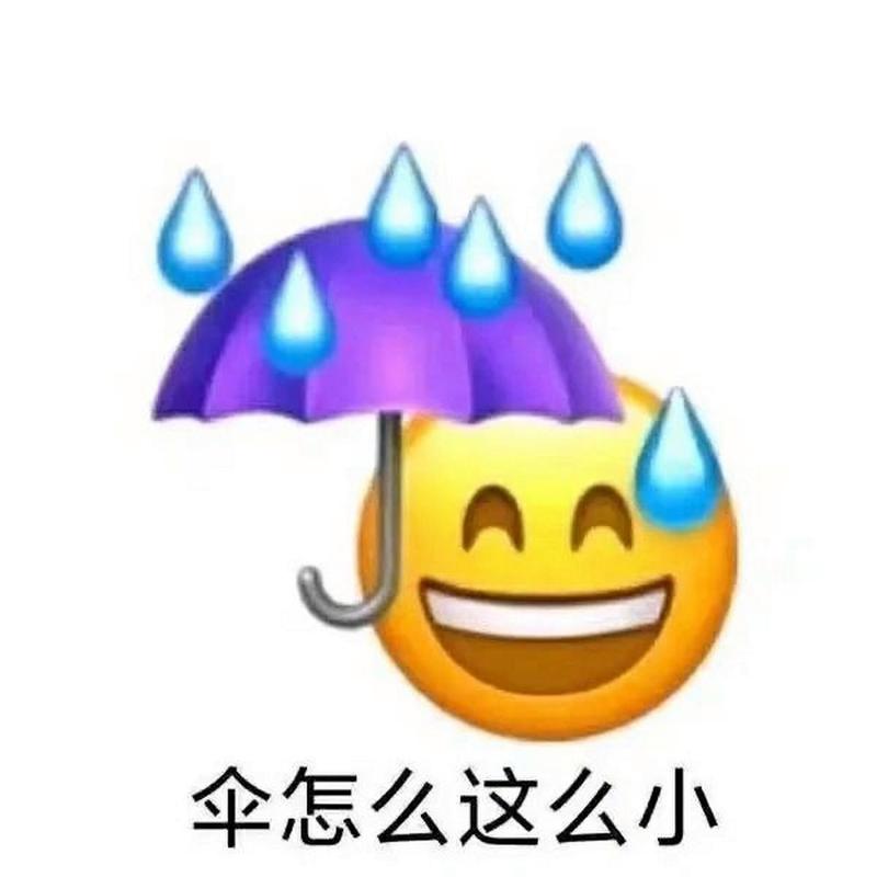 伞怎么这么小