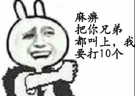 麻痹 把你兄弟 都叫上，我 要打10个