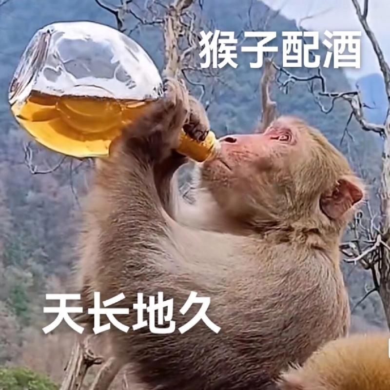 猴子配酒 天长地久