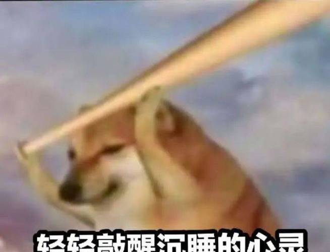 轻轻敲醒沉睡的心灵