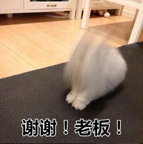谢谢！老板！