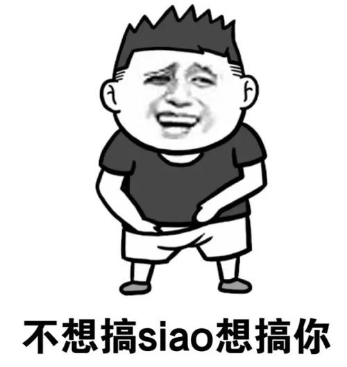 不想搞siao想搞你
