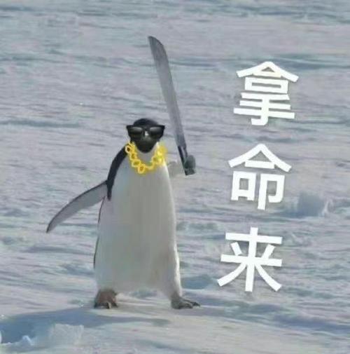 拿命来