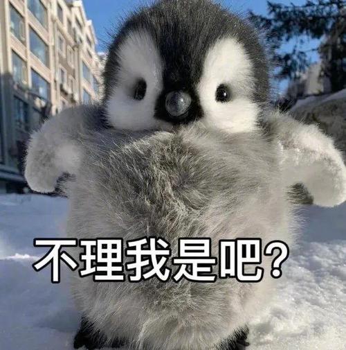 不理我是吧？