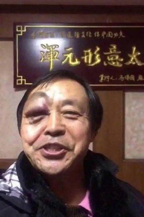 谭元形意太