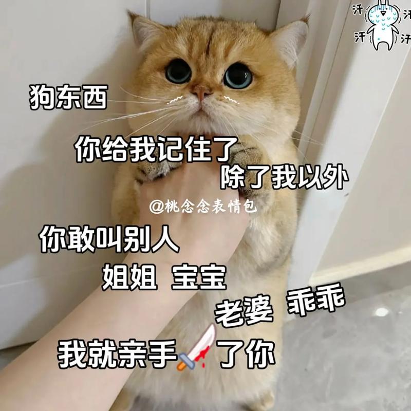汗 汗 狗东西 你给我记住了 除了我以外 @桃念念表情包 你敢叫别人 姐姐宝宝 老婆乖乖 我就亲手了你