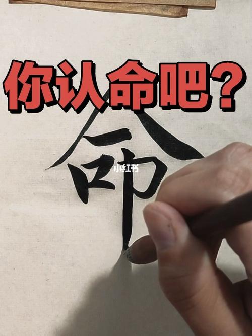 你认命吧？