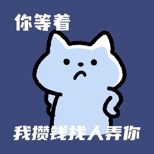 你等着 我攒钱找人弄你