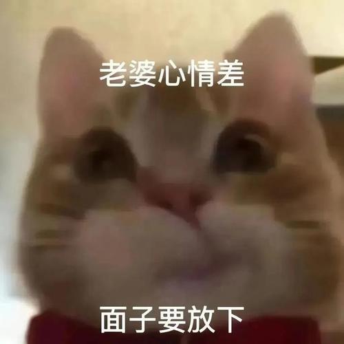 老婆心情差 面子要放下