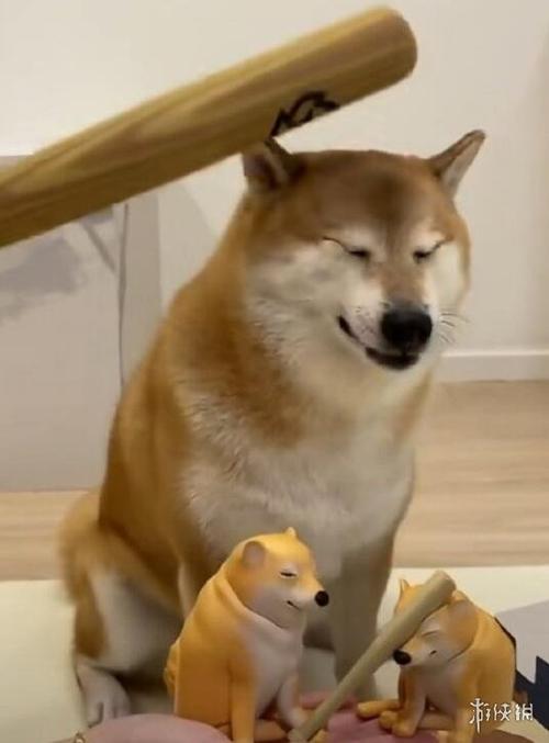 前侠调