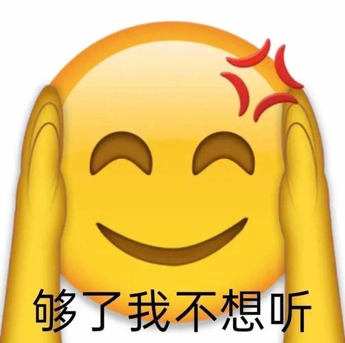 够了我不想听