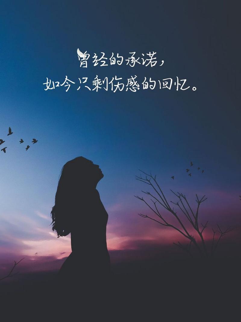 曾经的承诺， 如今只剩伤感的回忆。