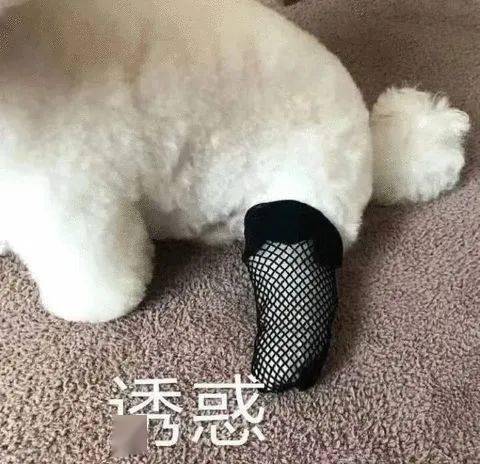 语惑 福