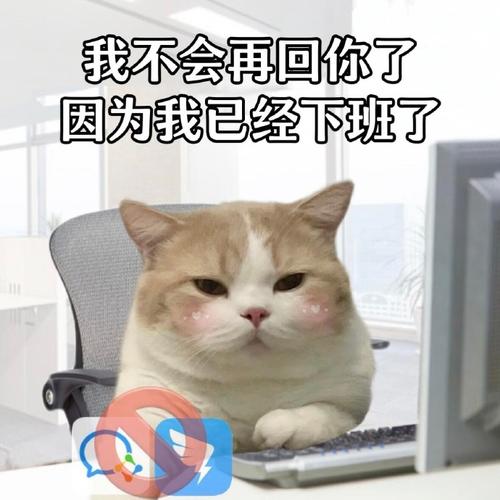 我不会再回你了 因为我已经下班了