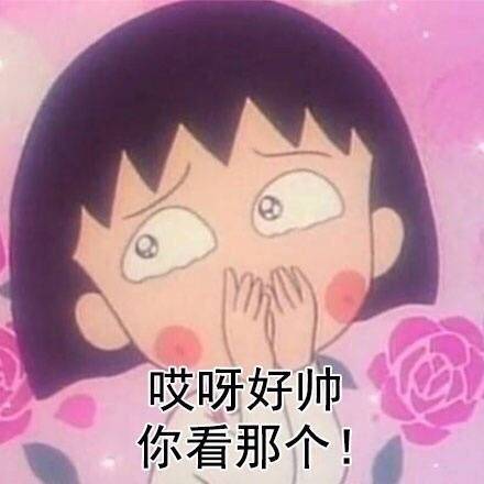 哎呀好帅 你看那个！