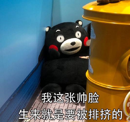 我这张帅脸 生来就是要被排挤的