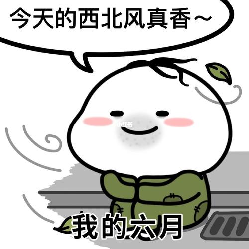 今天的西北风真香 我的六月