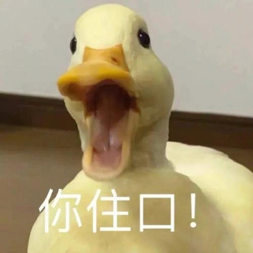 你住口！