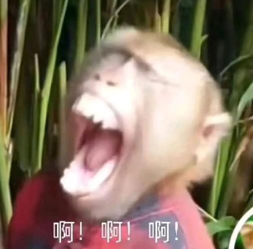 啊！啊！啊！
