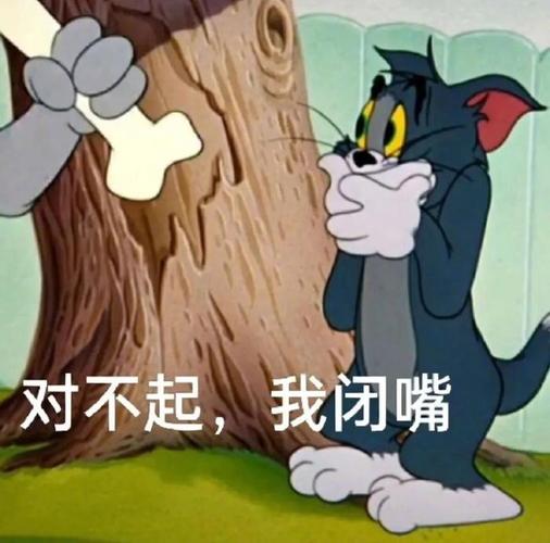 对不起，我闭嘴
