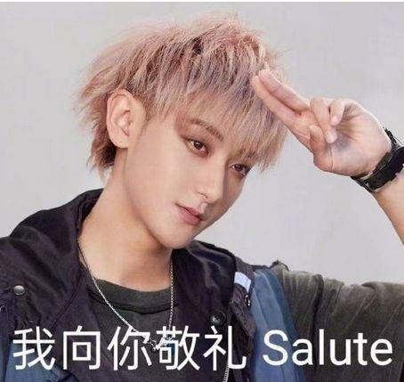 我向你敬礼 Salute