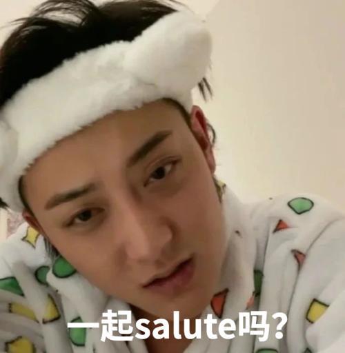 起salute吗？