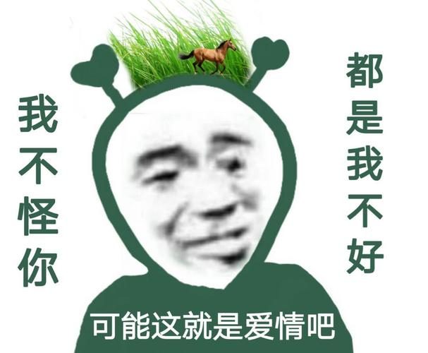 都是我不好 我不怪你 可能这就是爱情吧
