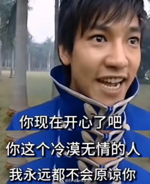 你现在开心了吧 你这个冷漠无情的人 我永远都不会原谅你