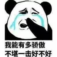 我能有多骄傲 不堪一击好不好