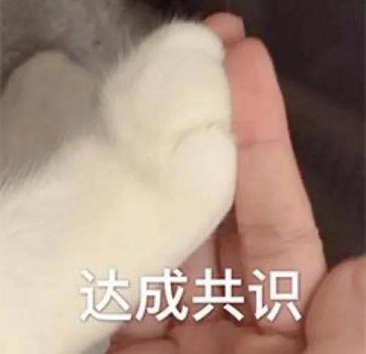 达成共识