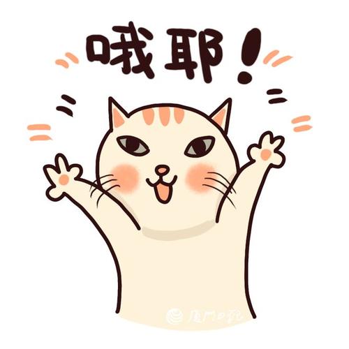 哦耶！