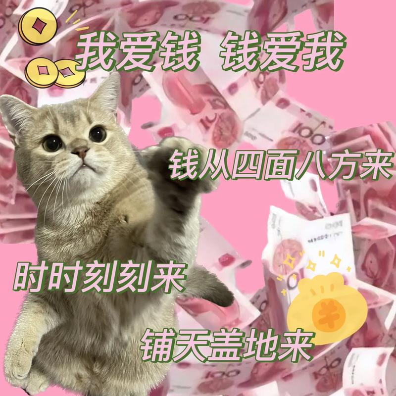 我爱钱钱爱我 钱从四面八方来 时时刻刻来 铺天盖地来