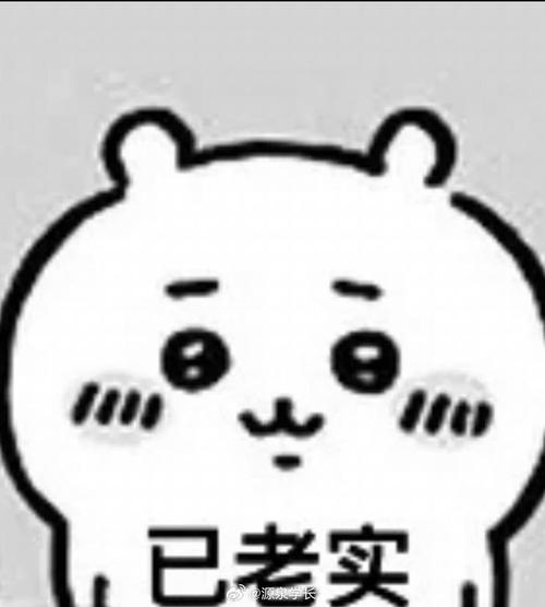 已老实