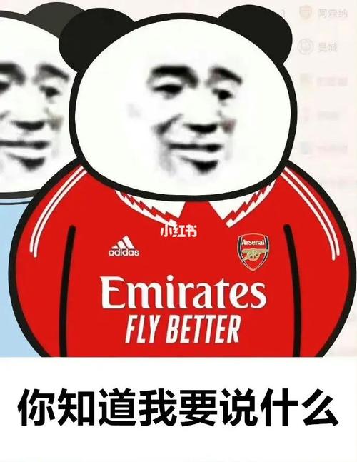 Emirates FLYBETTER 你知道我要说什么