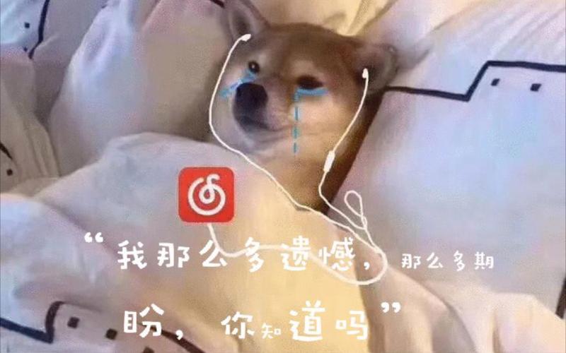 我那么多遗憾，那么多期 听，你知道吗