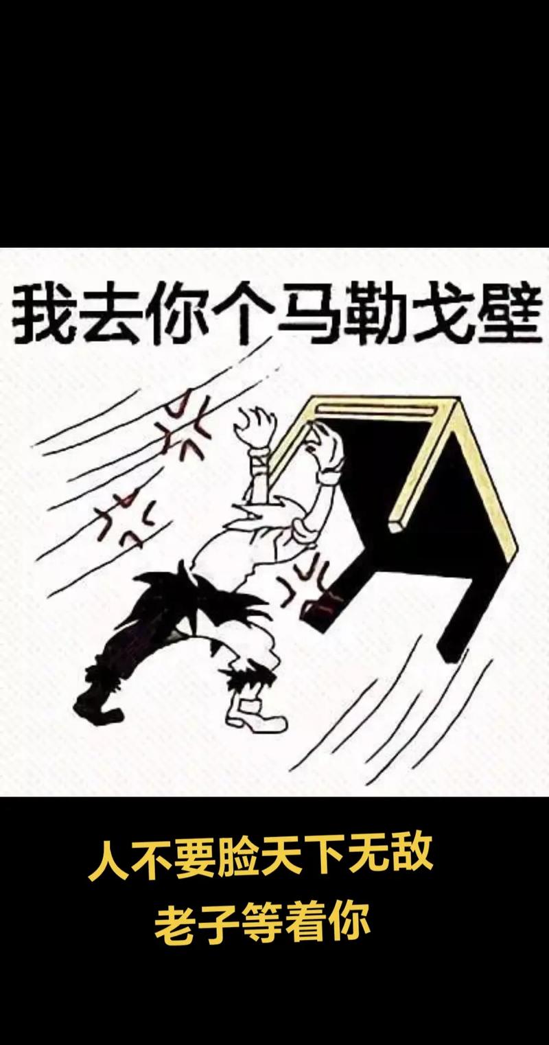 我去你个马勒戈壁 人不要脸天下无敌 老子等着你