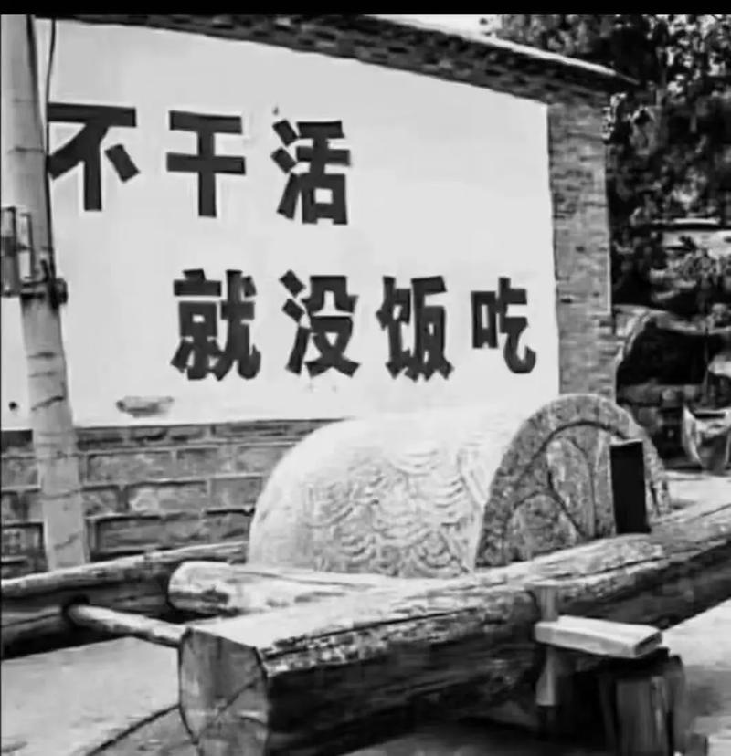 不干活 就没饭吃