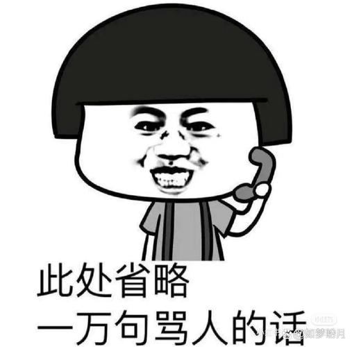 此处省略 一万句骂人的话