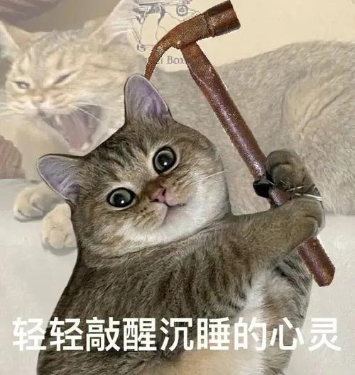 轻轻敲醒沉睡的心灵