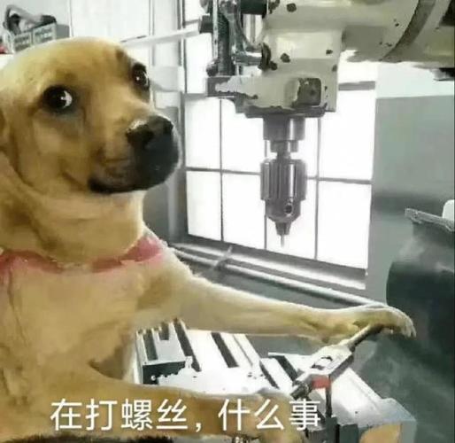 在打螺丝，什么事