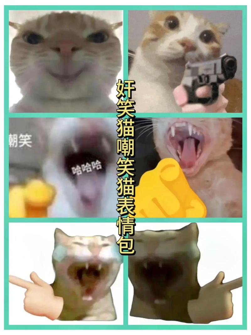 妍笑猫嘲笑猫表情包 朝笑 哈哈哈