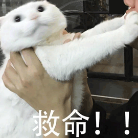 救命！！